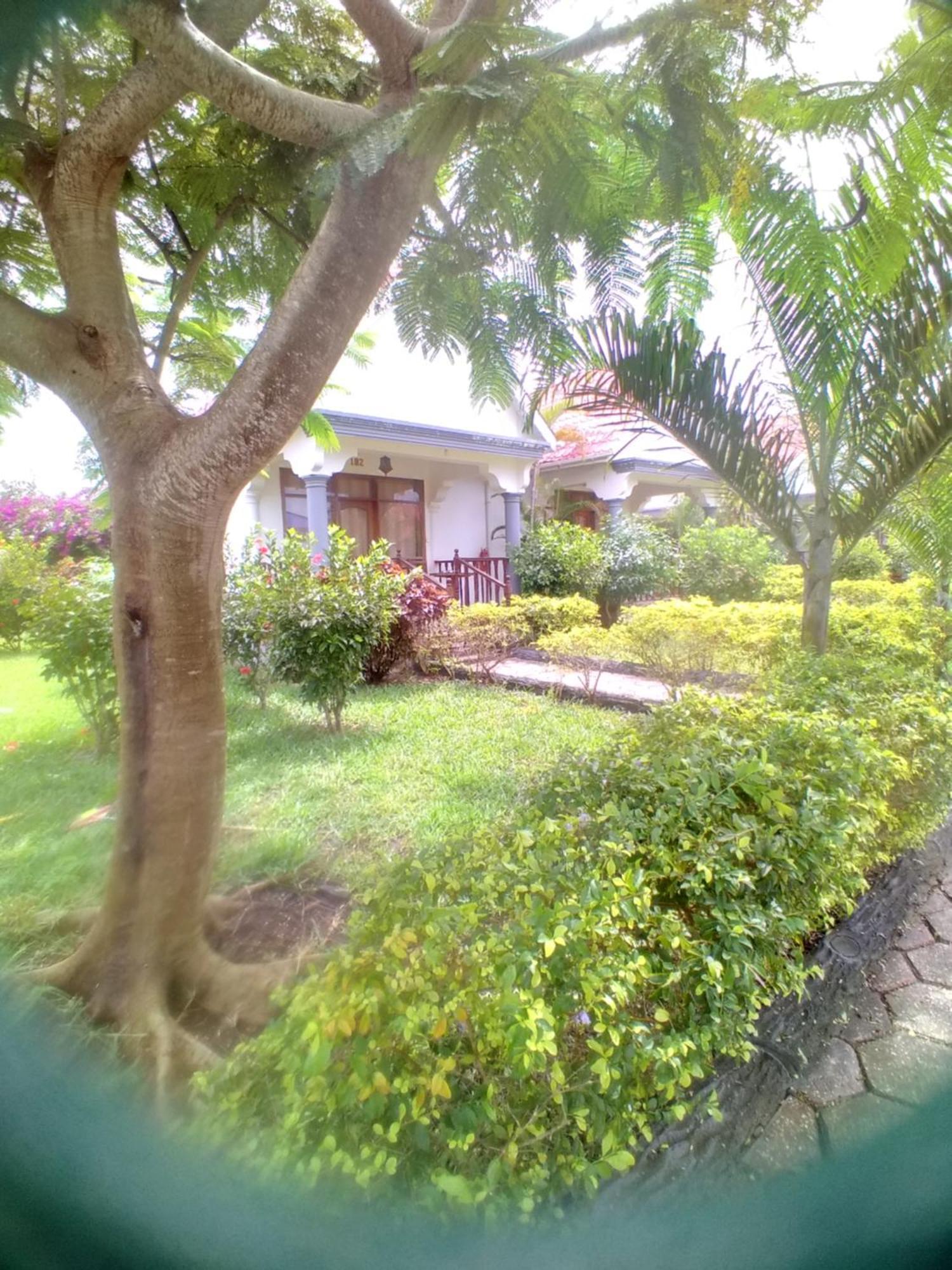 Hotel In Ras Nungwi Buitenkant foto